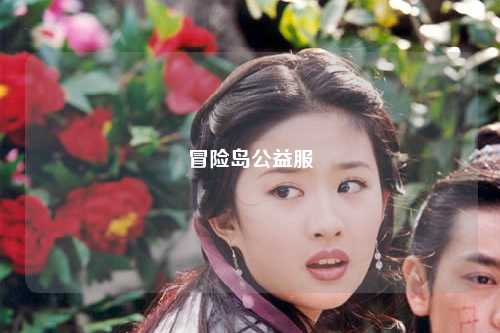 冒险岛公益服