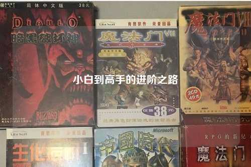 小白到高手的进阶之路
