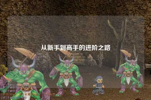 从新手到高手的进阶之路