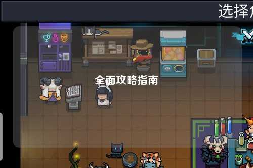 全面攻略指南