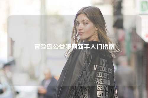 冒险岛公益服网新手入门指南