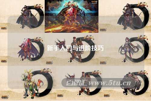 新手入门与进阶技巧