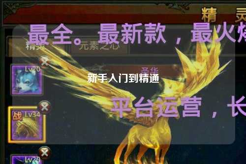 新手入门到精通