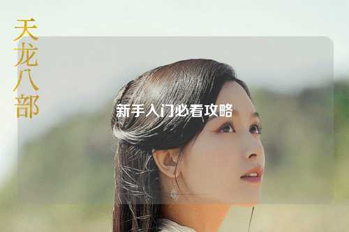 新手入门必看攻略