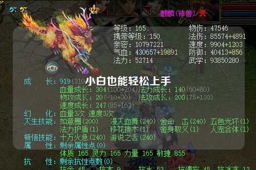 小白也能轻松上手