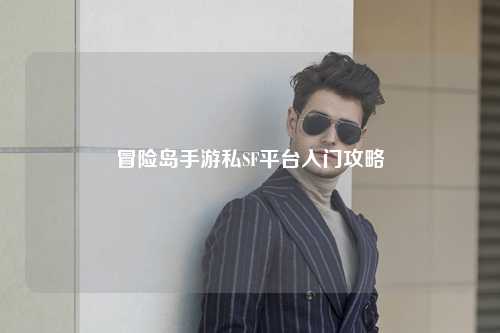 冒险岛手游私SF平台入门攻略