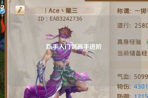 新手入门到高手进阶