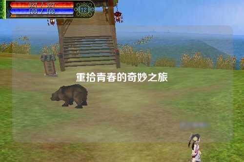 重拾青春的奇妙之旅