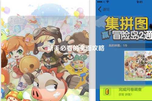 新手必看的全面攻略