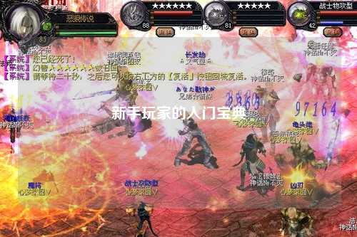 新手玩家的入门宝典