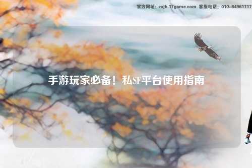 手游玩家必备！私SF平台使用指南