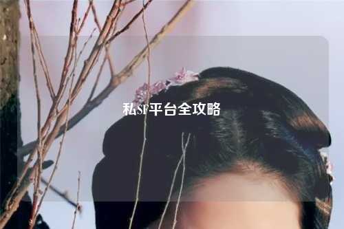 私SF平台全攻略