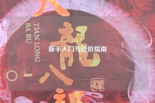 新手入门与进阶指南
