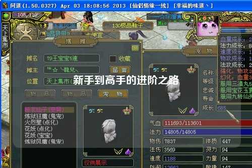 新手到高手的进阶之路