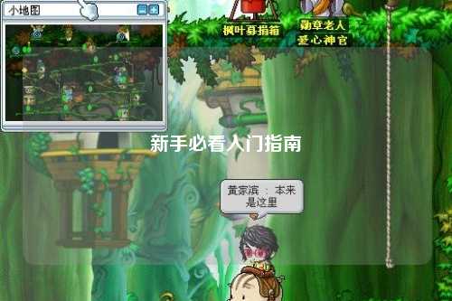 新手必看入门指南
