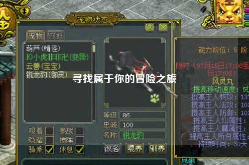 寻找属于你的冒险之旅