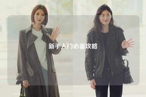新手入门必备攻略