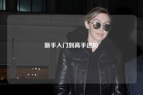 新手入门到高手进阶