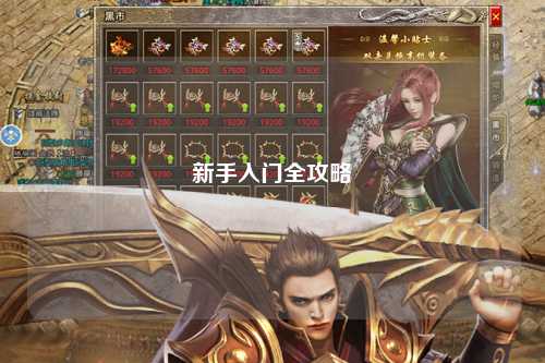 新手入门全攻略