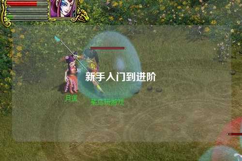 新手入门到进阶