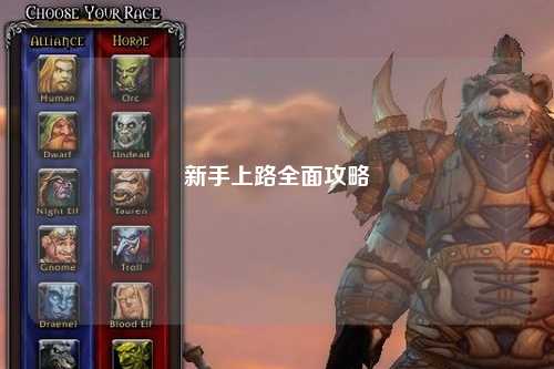 新手上路全面攻略