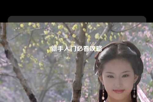 新手入门必看攻略