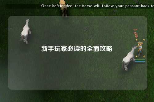 新手玩家必读的全面攻略