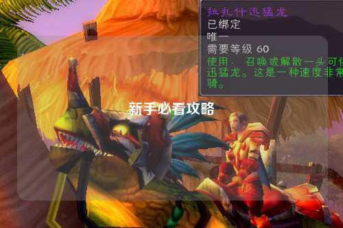 新手必看攻略