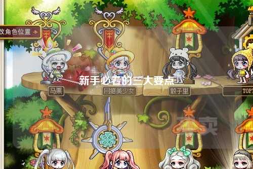 新手必看的三大要点