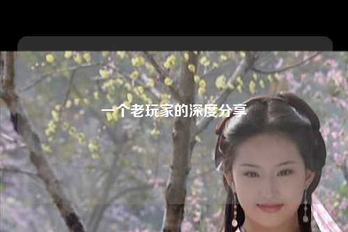 一个老玩家的深度分享
