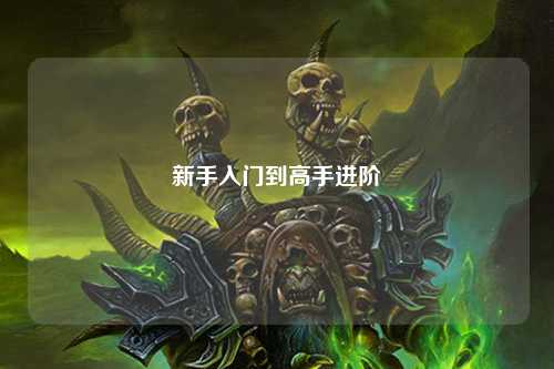 新手入门到高手进阶