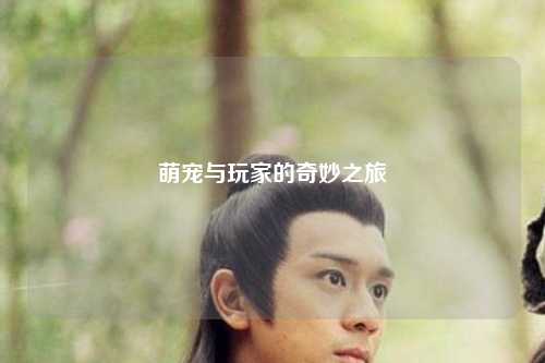 萌宠与玩家的奇妙之旅