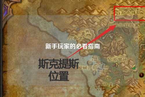 新手玩家的必看指南