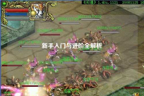 新手入门与进阶全解析