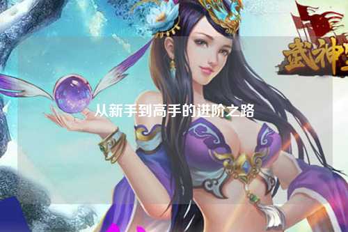 从新手到高手的进阶之路