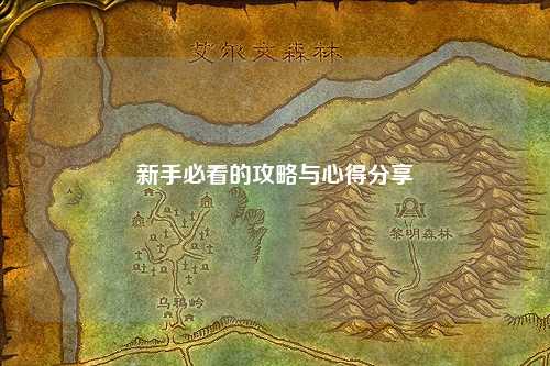 新手必看的攻略与心得分享