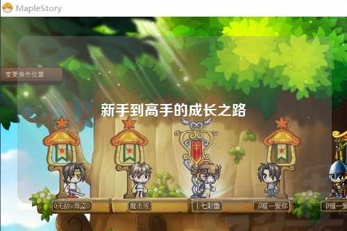 新手到高手的成长之路