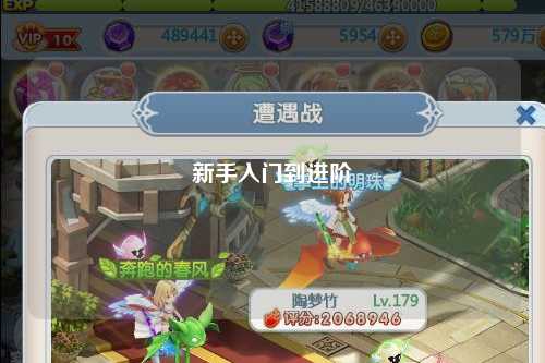 新手入门到进阶
