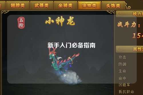 新手入门必备指南