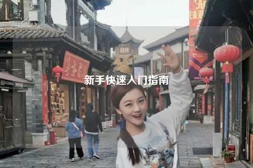 新手快速入门指南