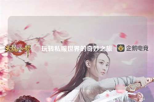 玩转私服世界的奇妙之旅
