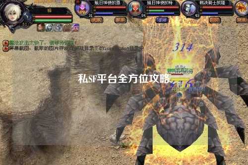 私SF平台全方位攻略