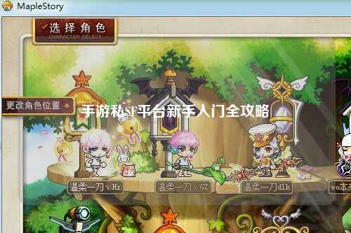 手游私SF平台新手入门全攻略