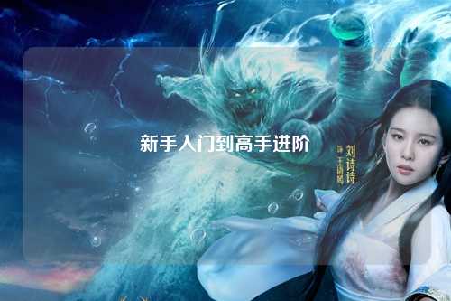 新手入门到高手进阶