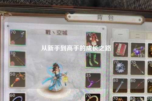 从新手到高手的成长之路