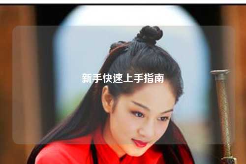 新手快速上手指南