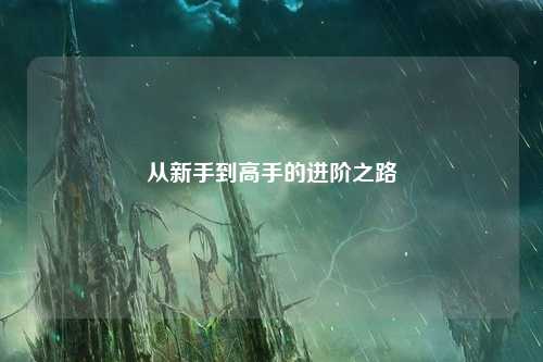 从新手到高手的进阶之路